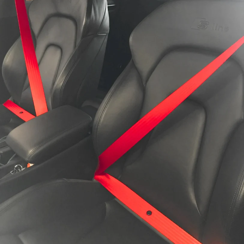 Ceinture sécurité couleur - Image 5