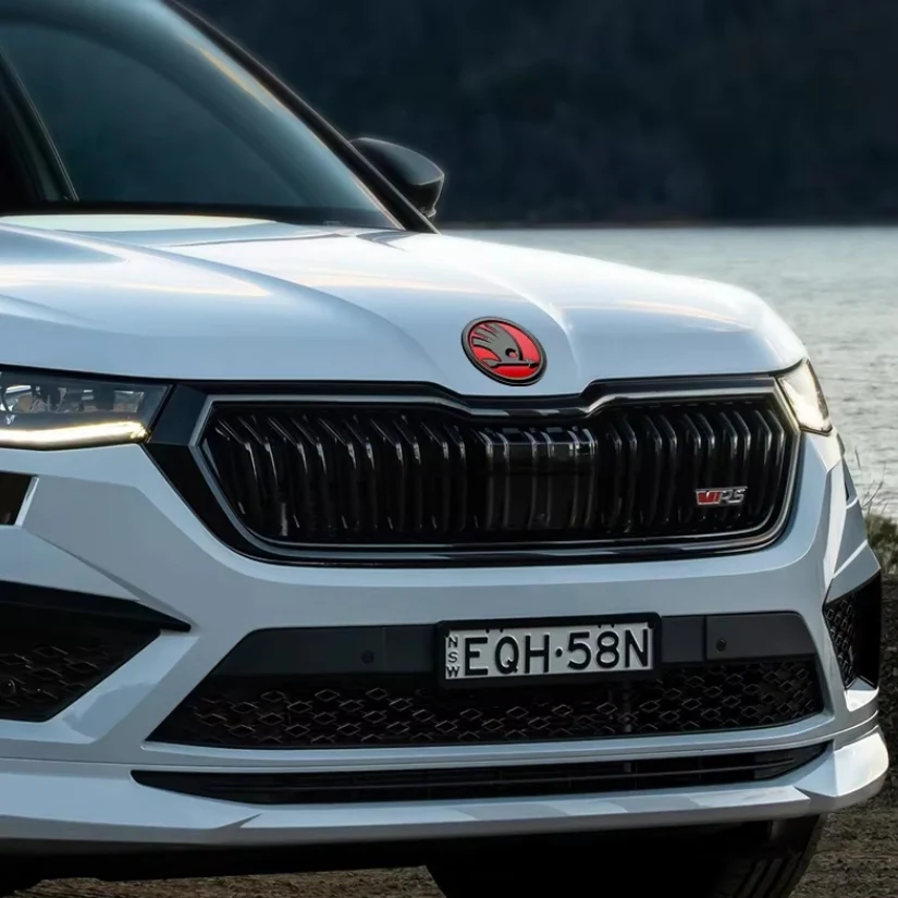 Logo Skoda Noir - Image 10